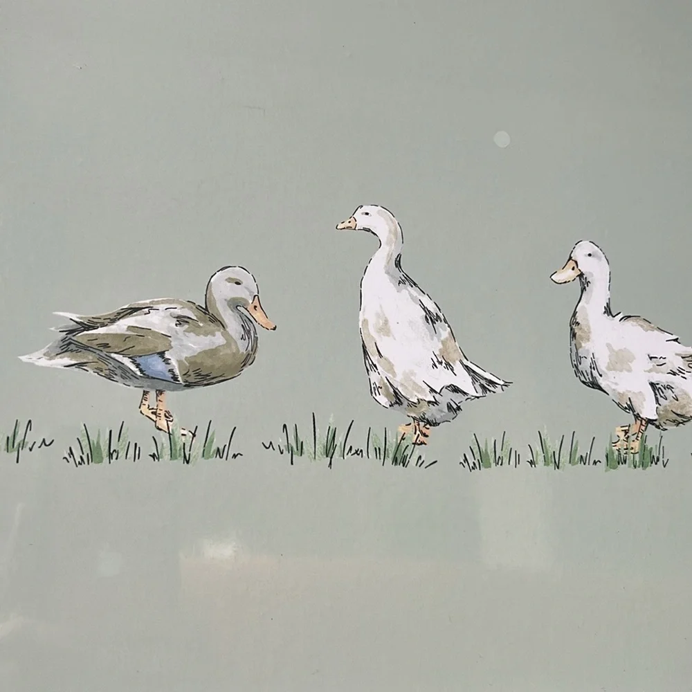 Laura Ashley Set Of 4 Cork Placemats New Ducks Spring Easter